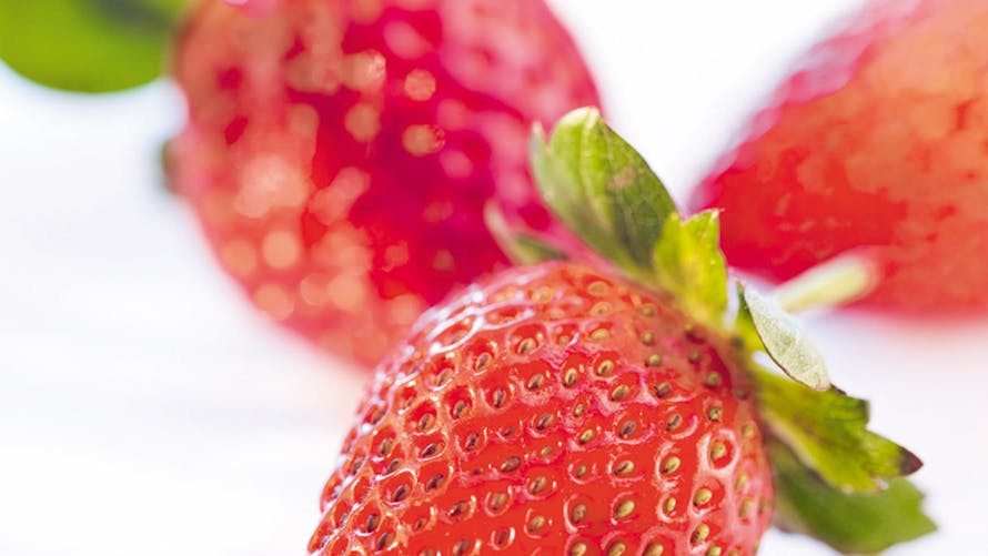 Gros plan sur trois fraises rouges fraîches avec leurs feuilles vertes sur fond clair