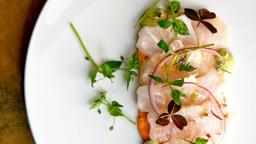 Tiradito de dorade