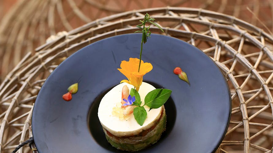 Tiramisu à l'araignée de mer, avocat, tomate