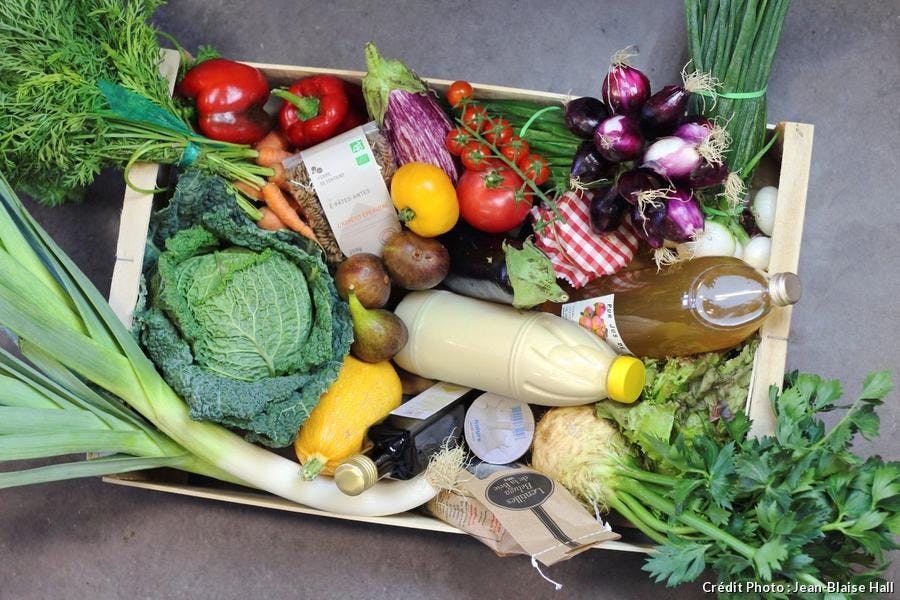 R81-reportage-locavore-paris-panier-legumes-saison-30_jbh.jpg