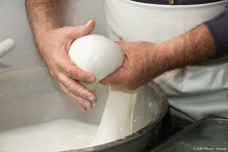 Fabrication de la mozzarella