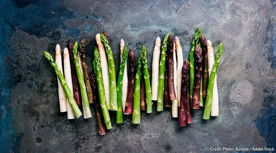 Asperges blanches, vertes et violettes